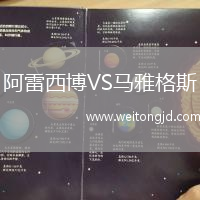 阿雷西博VS馬雅格斯