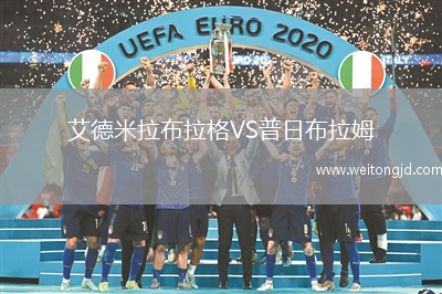 艾德米拉布拉格VS普日布拉姆