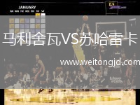 馬利舍瓦VS蘇哈雷卡