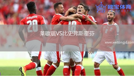萊歇瑙VS比史弗斯霍芬