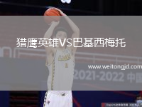 獵鷹英雄VS巴基西梅托