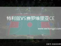 特利茲VS費羅維里亞CE