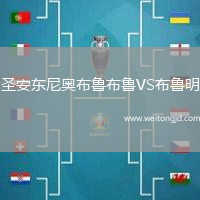 圣安東尼奧布魯布魯VS布魯明