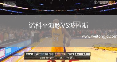 諾科平海豚VS波拉斯