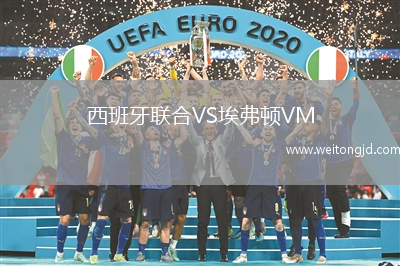 西班牙聯合VS埃弗頓VM