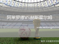 阿萊羅德VS赫斯霍爾姆
