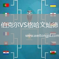 伯克爾VS格哈文燦德