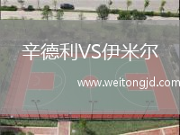 辛德利VS伊米爾