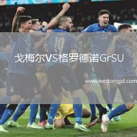 戈梅爾VS格羅德諾GrSU