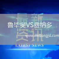 魯畢奧VS費(fèi)納多