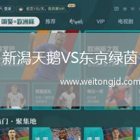 新潟天鵝VS東京綠茵