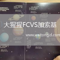 大猩猩FCVS加索基