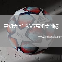 高知大學(xué)II隊(duì)VS高知美洲駝