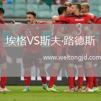 埃格VS斯夫·路德斯
