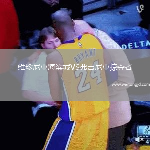 維珍尼亞海濱城VS弗吉尼亞掠奪者