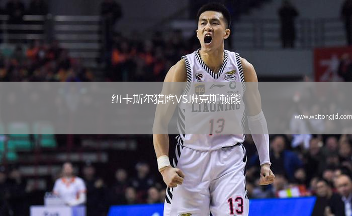 紐卡斯爾獵鷹VS班克斯頓熊