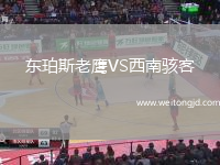 東珀斯老鷹VS西南駭客