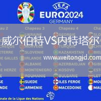 威爾伯特VS內(nèi)特塔爾