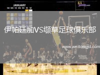 伊帕廷加VS纈草足球俱樂部