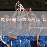 夏洛特鷹隊VS夏洛特獨立B隊