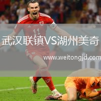 武漢聯鎮VS湖州美奇