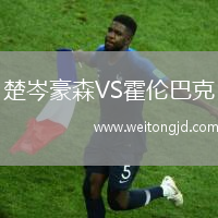 楚岑豪森VS霍倫巴克