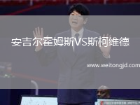 安吉爾霍姆斯VS斯柯維德