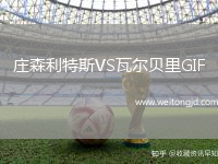 莊森利特斯VS瓦爾貝里GIF