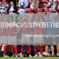 雨神FCVS加納港口城