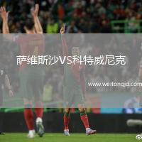 薩維斯沙VS科特威尼克