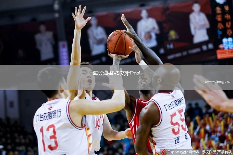 海登海姆VS艾禾斯堡