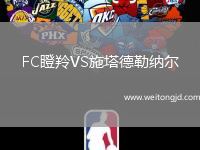 FC瞪羚VS施塔德勒納爾