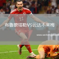 布魯蒙塔勒VS云達不萊梅