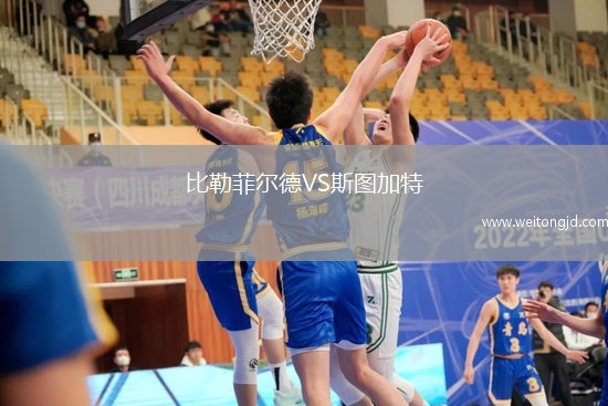 比勒菲爾德VS斯圖加特