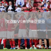 戈亞斯VS費羅維亞里亞