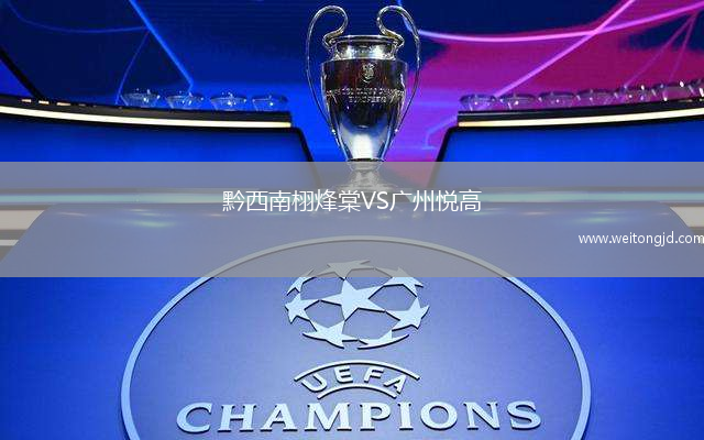 黔西南栩烽棠VS廣州悅高
