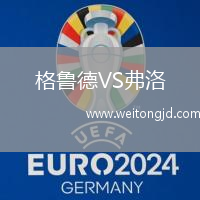格魯德VS弗洛