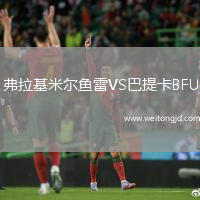 弗拉基米爾魚雷VS巴提卡BFU