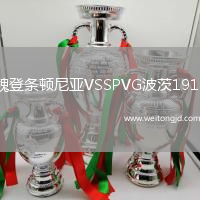魏登條頓尼亞VSSPVG波茨1919