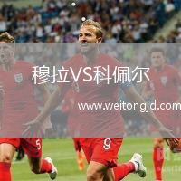 穆拉VS科佩爾