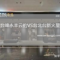 臺啤永豐云豹VS臺北臺新火星
