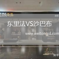 東里法VS沙巴布