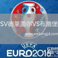 SV德萊蓋爾VS布雷堡