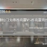 弗拉門戈德蘇克雷VS蘇克雷競技