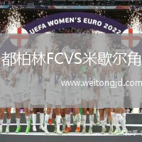 都柏林FCVS米歇爾角