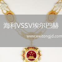 海利VSSV埃爾巴赫