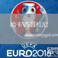 哈卡VS普拉尼