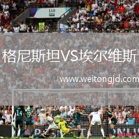 格尼斯坦VS埃爾維斯