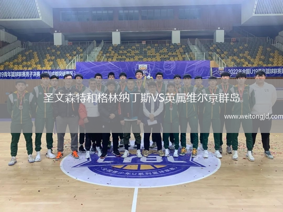 圣文森特和格林納丁斯VS英屬維爾京群島