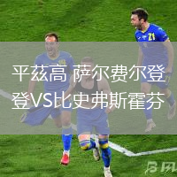 平茲高 薩爾費爾登VS比史弗斯霍芬